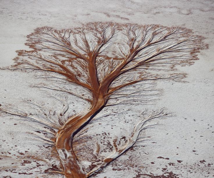 human-film-bolivie-francesoir_field_image_diaporama