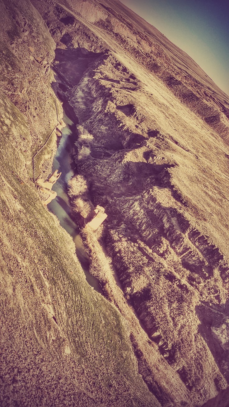 20160313_140534 (1).jpg