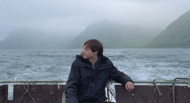 sparrows_runar-runarsson